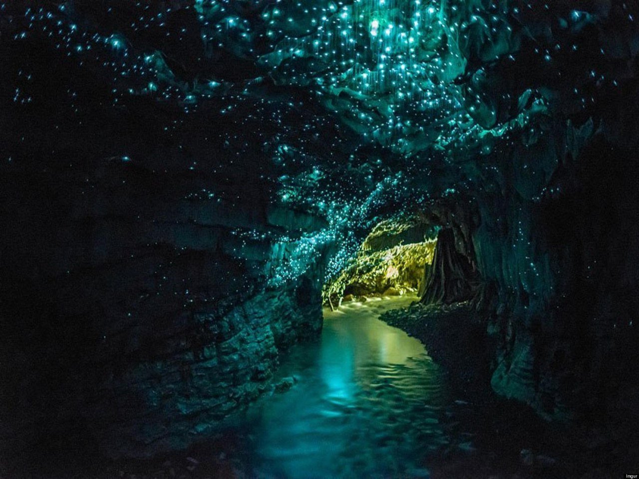 Пещера Светлячков (Waitomo), Новая Зеландия