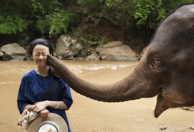Всемирный день слонов: самые яркие и красивые фотографии