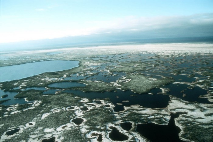 Это Западная Сибирь — Большие Васюганские болота.