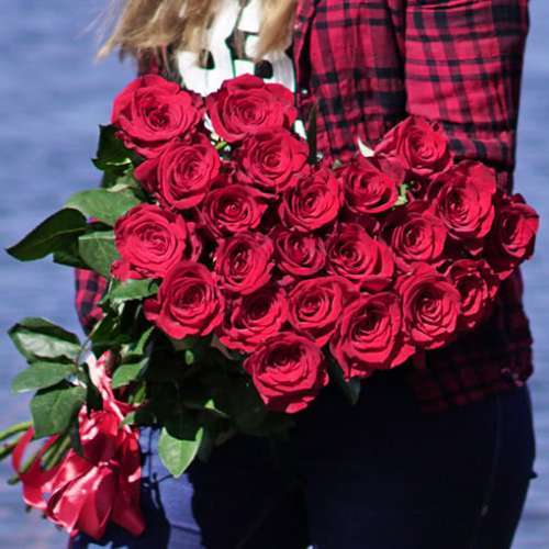 21-red-roses-freedom3-500x500