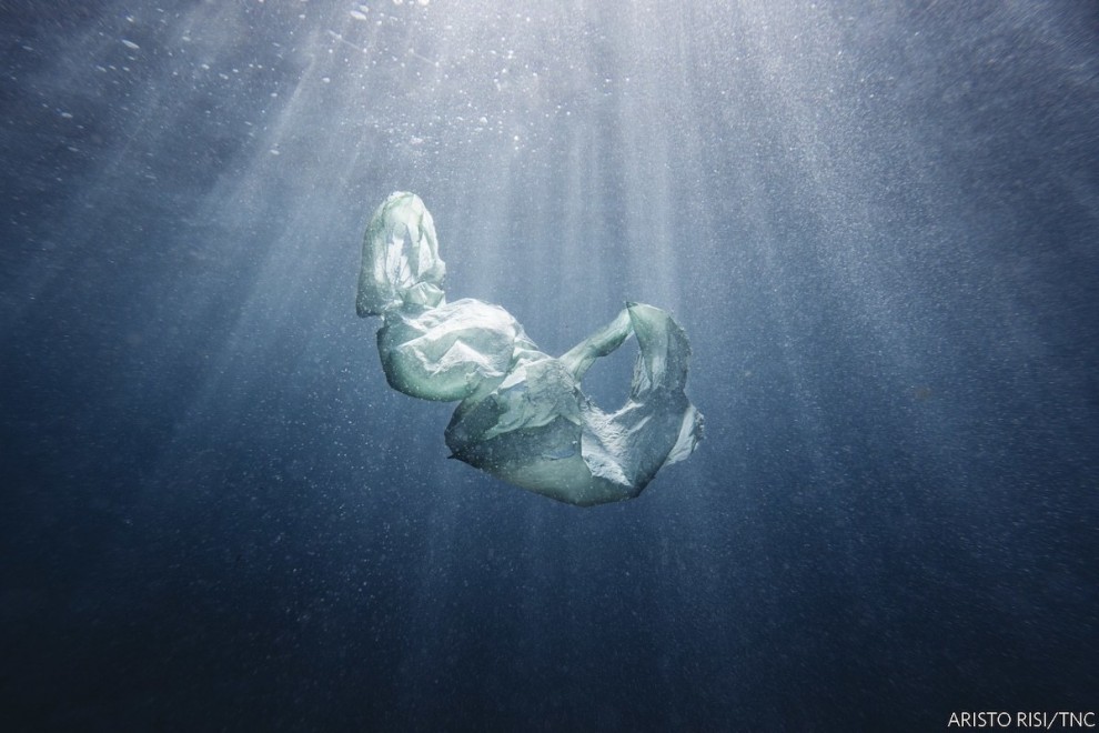 Его величество пластик. Полиэтиленовый пакет в естественной среде обитания — океане. Фото: Аристо Ризи (Австралия), победитель в категории «Вода». 