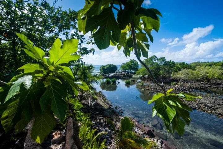 Нан-Мадол, Микронезия. Под угрозой с 2016 года. 