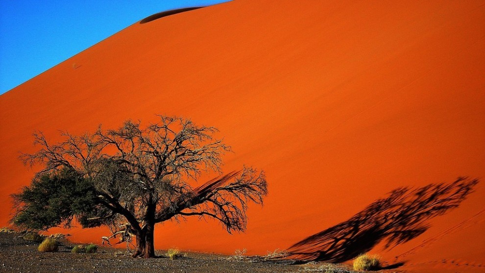  Пустыня Намиб, Намибия.