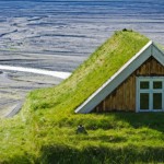 Скандинавские дома с живой крышей