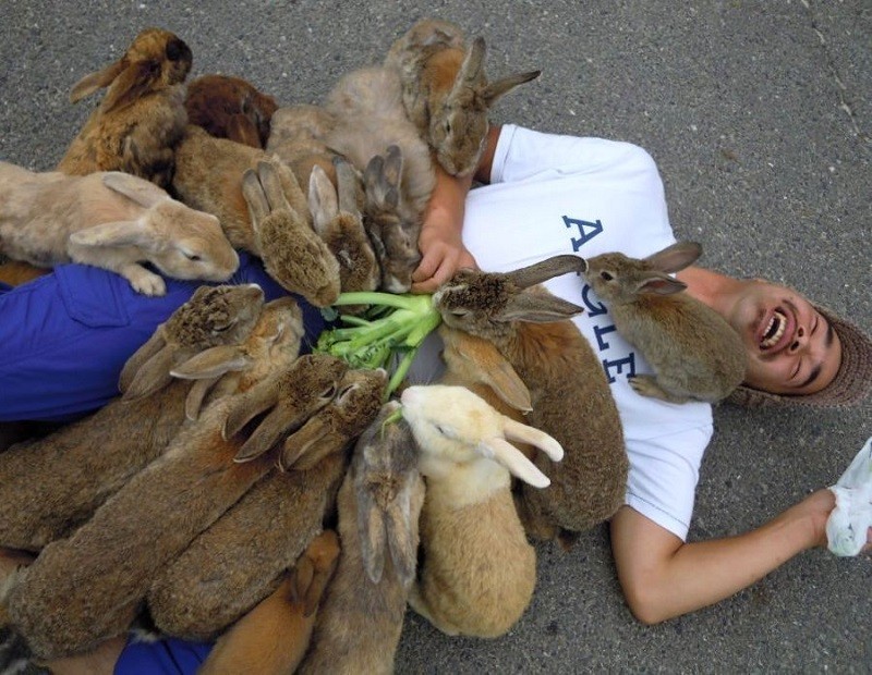 Okunoshima07