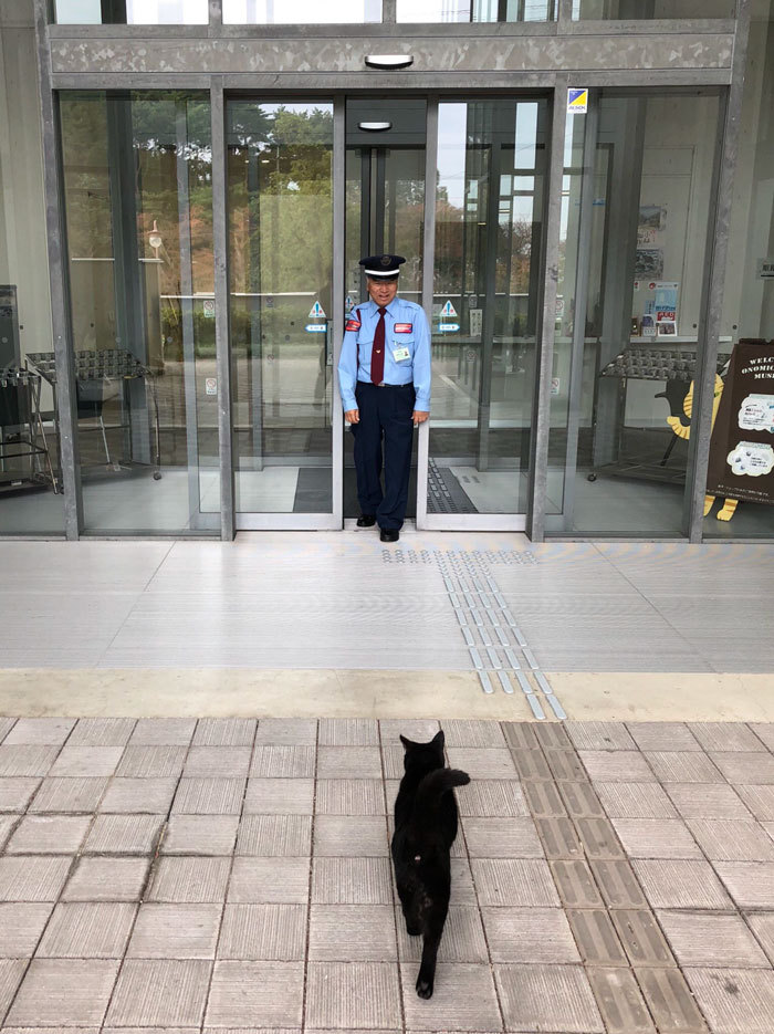 cats-sneaking-security-ken-chan-gosaku-hiroshima-onomichi-city-museum-of-art-5bee84780e708__700